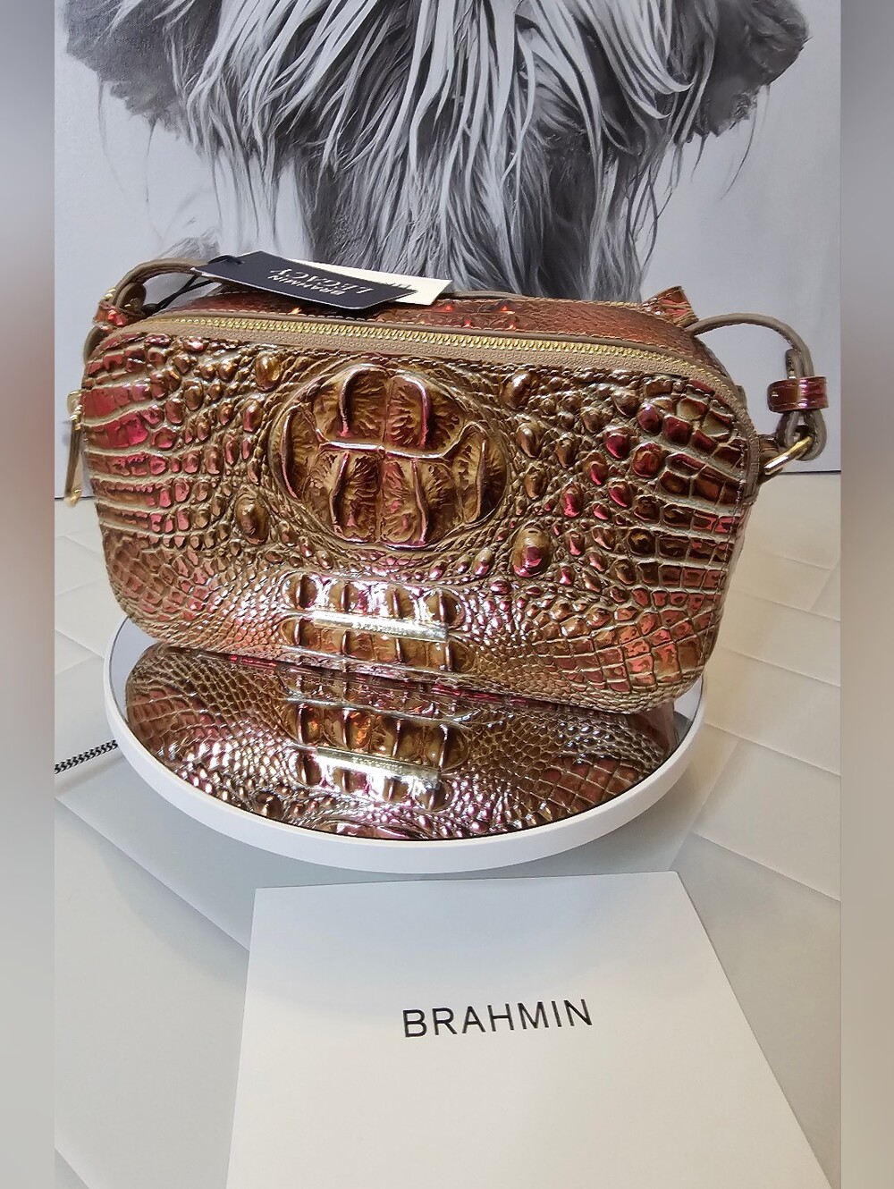 NWT Brahmin Danica Stonecraft Melbourne Leather Crossbody Bag